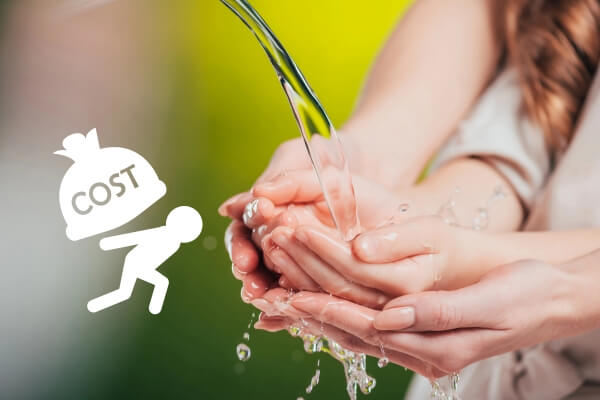 Cost of Poor Water Quality in the Dallas-Fort Worth Metroplex